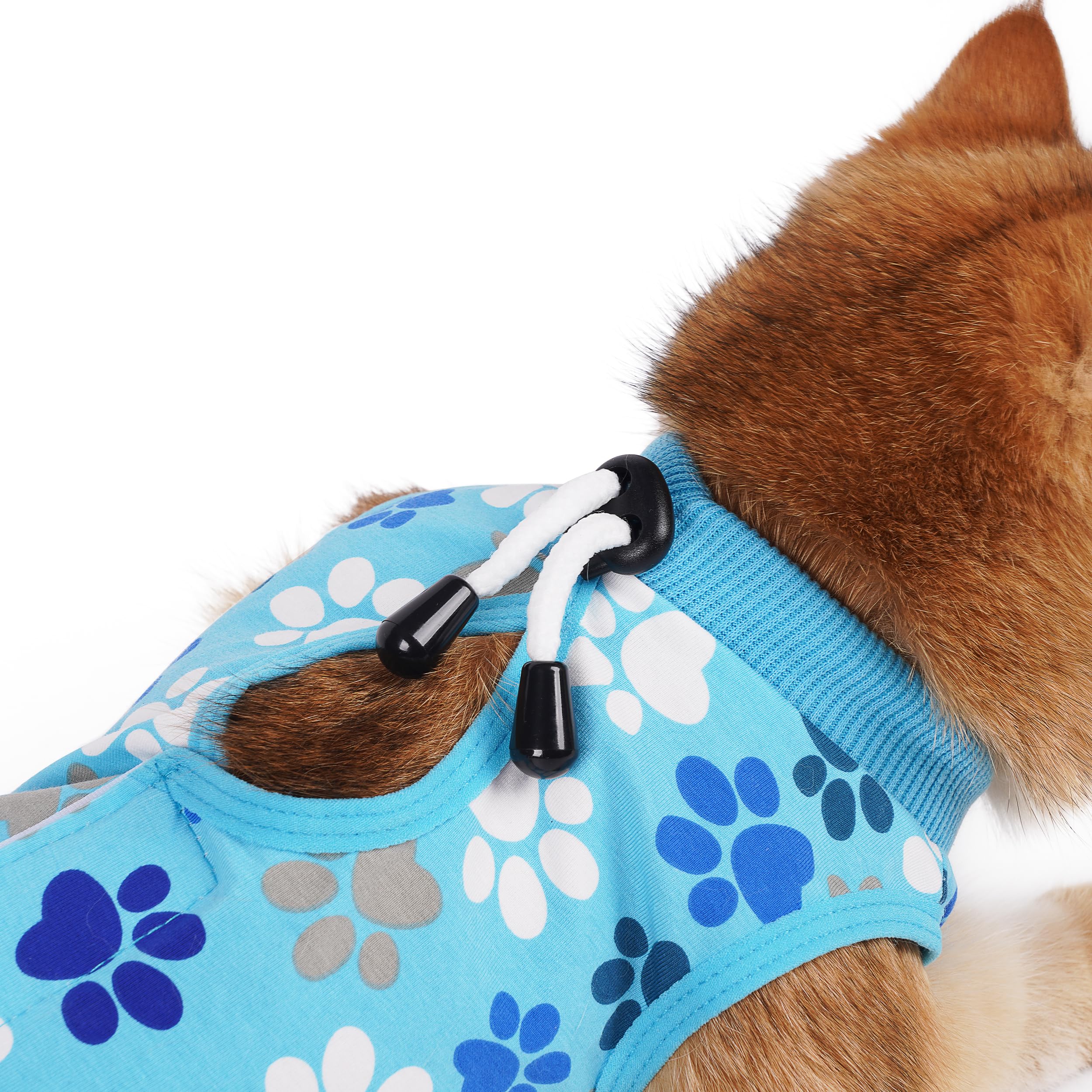 Amazon | オスまたはメスの猫のための猫の回復スーツ – ソフトで通気性